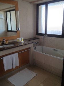 Hyatt Regency Nice Palais de la Mediterranee